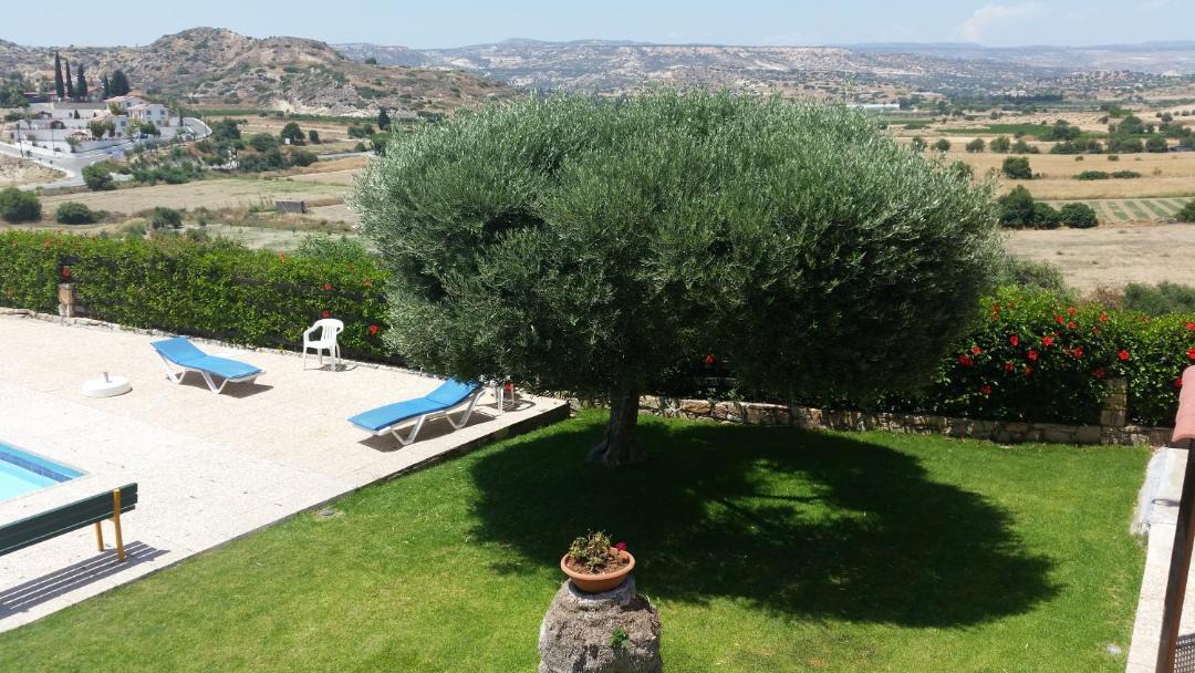Photo of Others in Pissouri