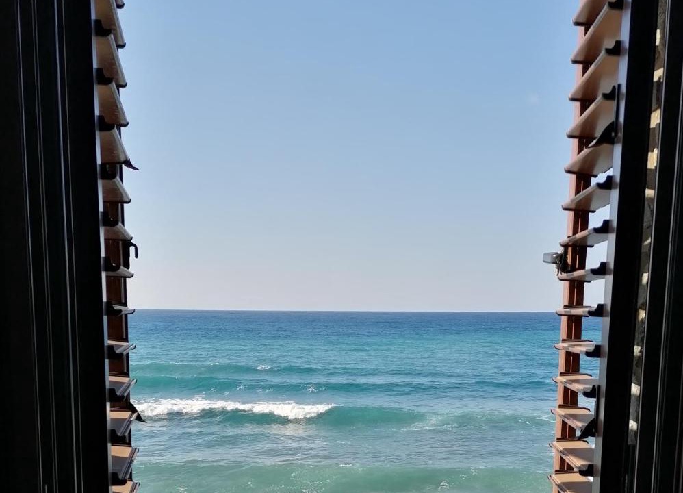 Photo of Others in Pomos