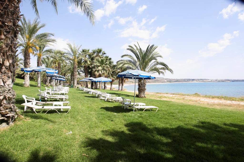 Photo of Others in Pegeia