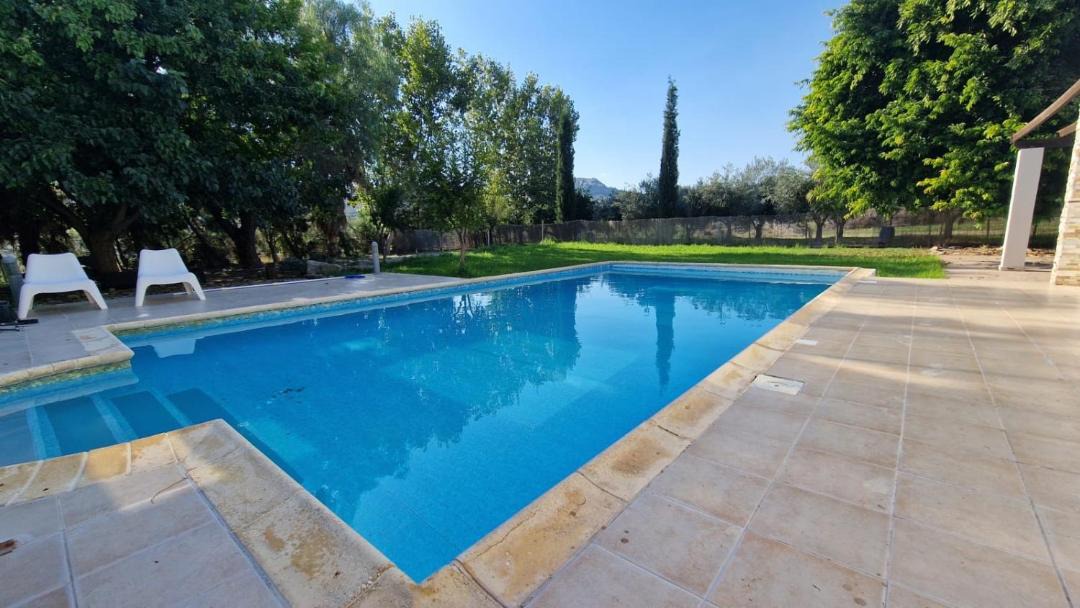 Photo of Others in Pissouri