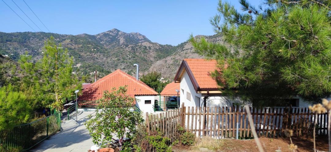 Photo of Buildings in Alona
