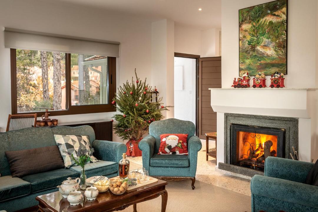 Photo of Livingroom in Platres