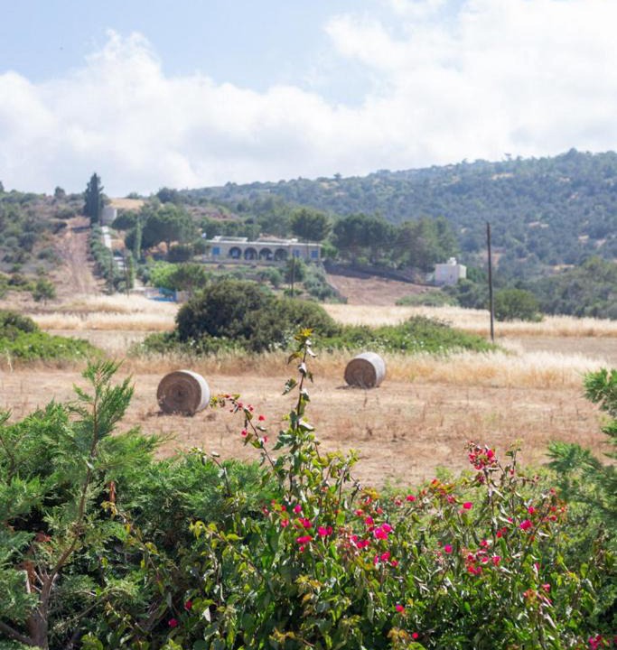 Photo of Others in Neo Chorio