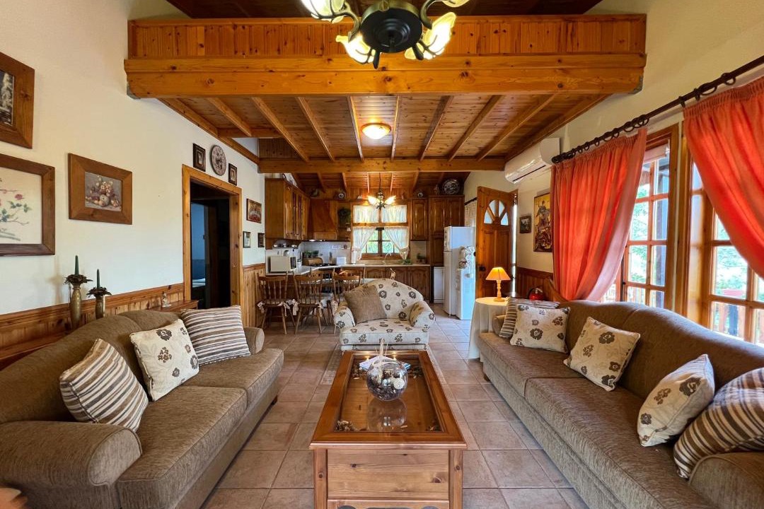 Photo of Livingroom in Vasa Koilaniou