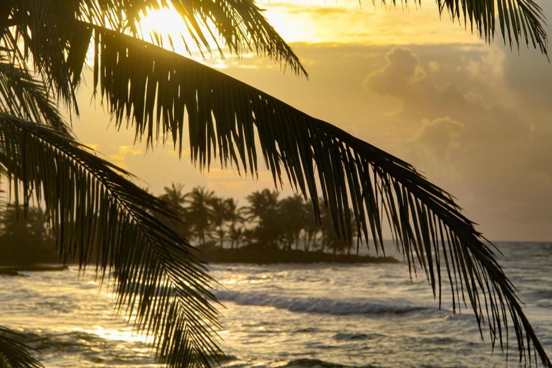 Photo of Others in Corn Island