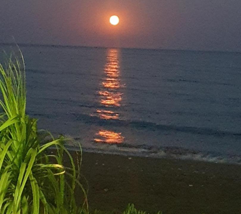 Photo of Outdoor in Meneou