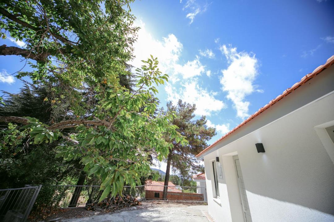 Photo of Others in Prodromos