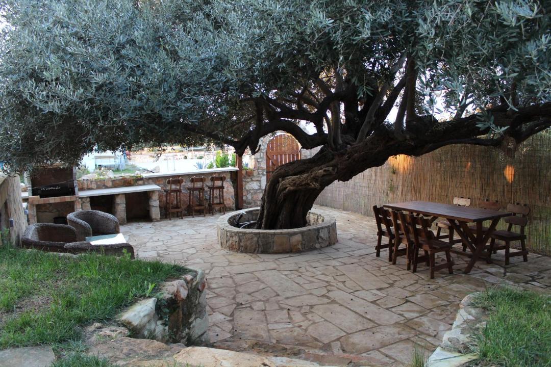 Photo of Others in Agios Georgios Pegeias