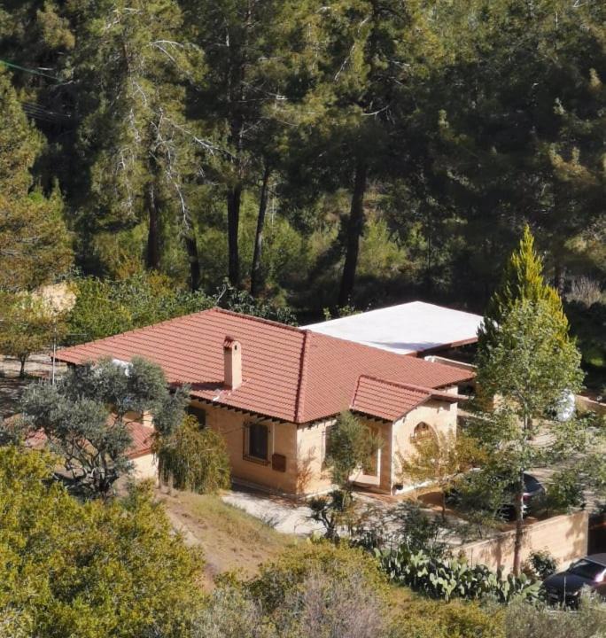 Photo of Others in Agios Mamas