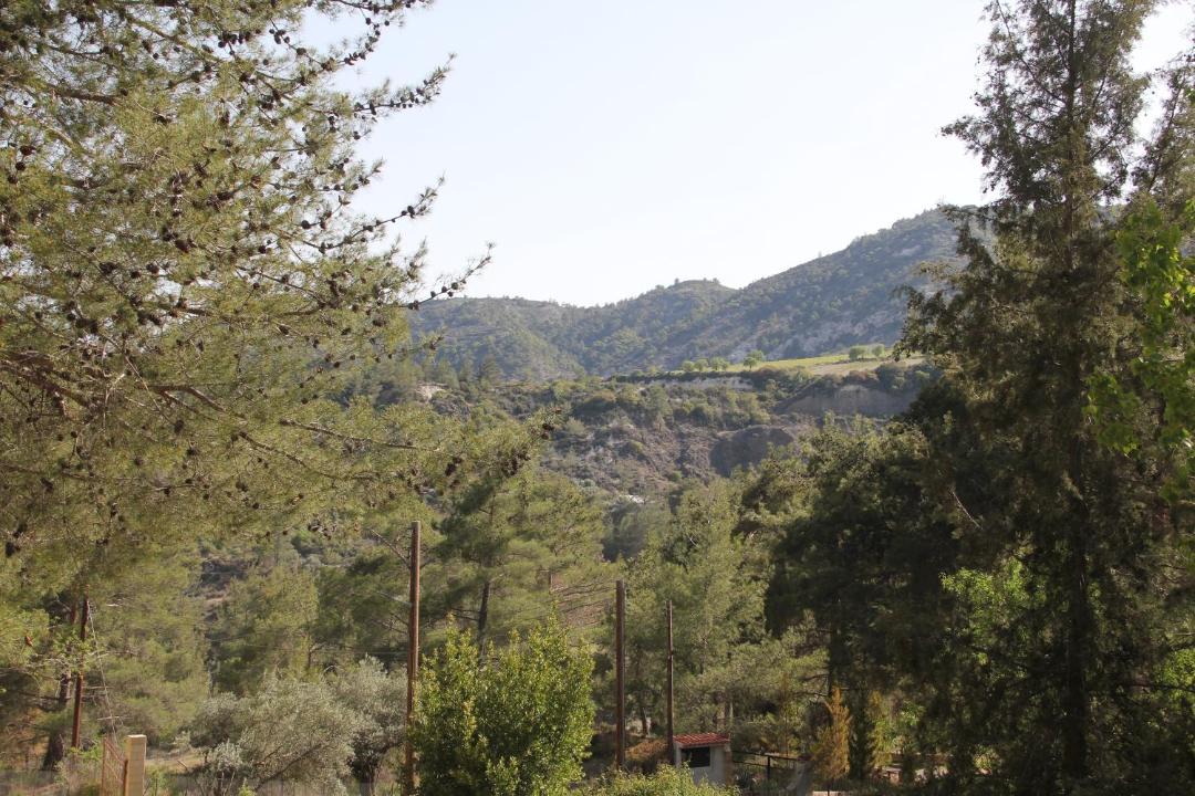 Photo of Others in Agios Mamas