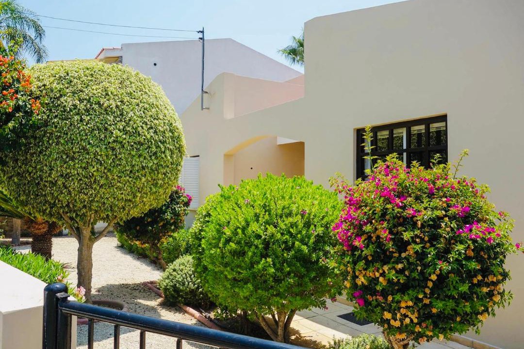 Photo of Others in Peyia Town