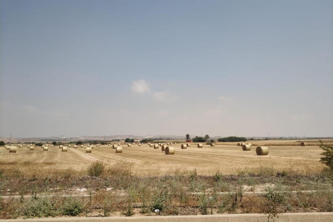 Photo of Outdoor in Tersefanou
