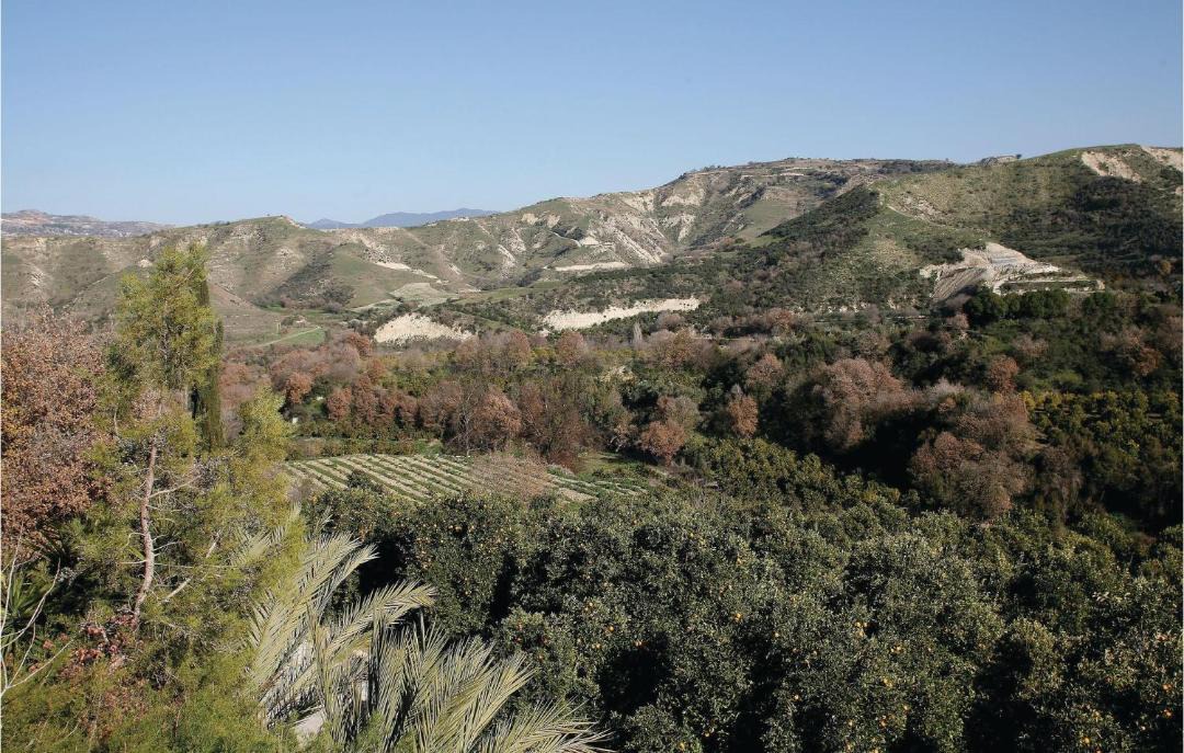 Photo of Outdoor in Miliou