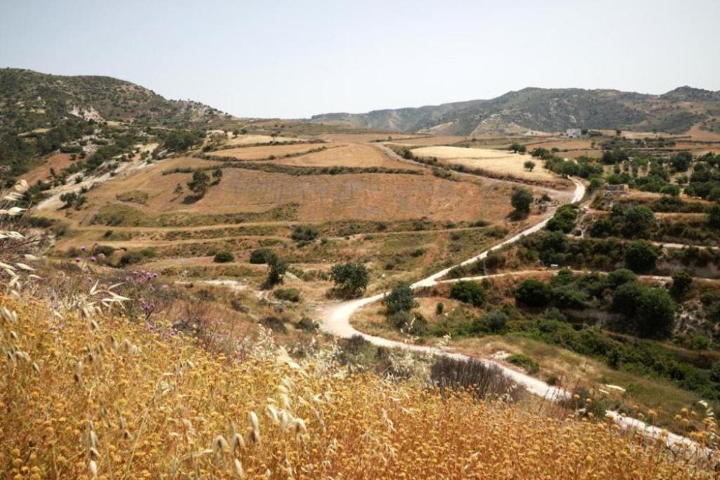 Photo of Others in Peyia Town