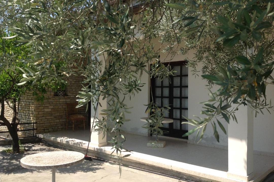 Photo of Others in Vasa Koilaniou