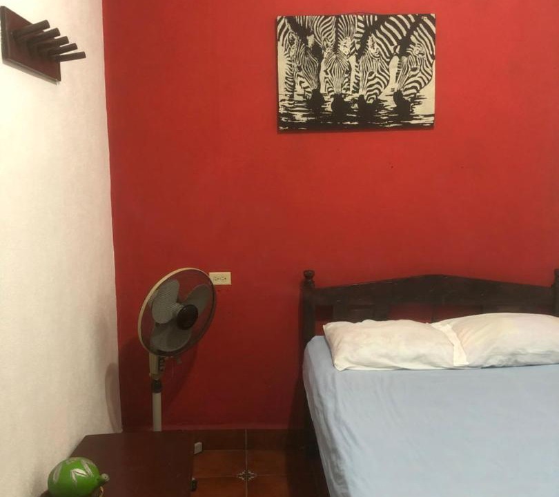 Photo of Others in Leon