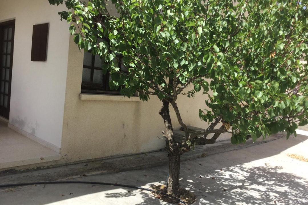 Photo of Buildings in Vasa Koilaniou