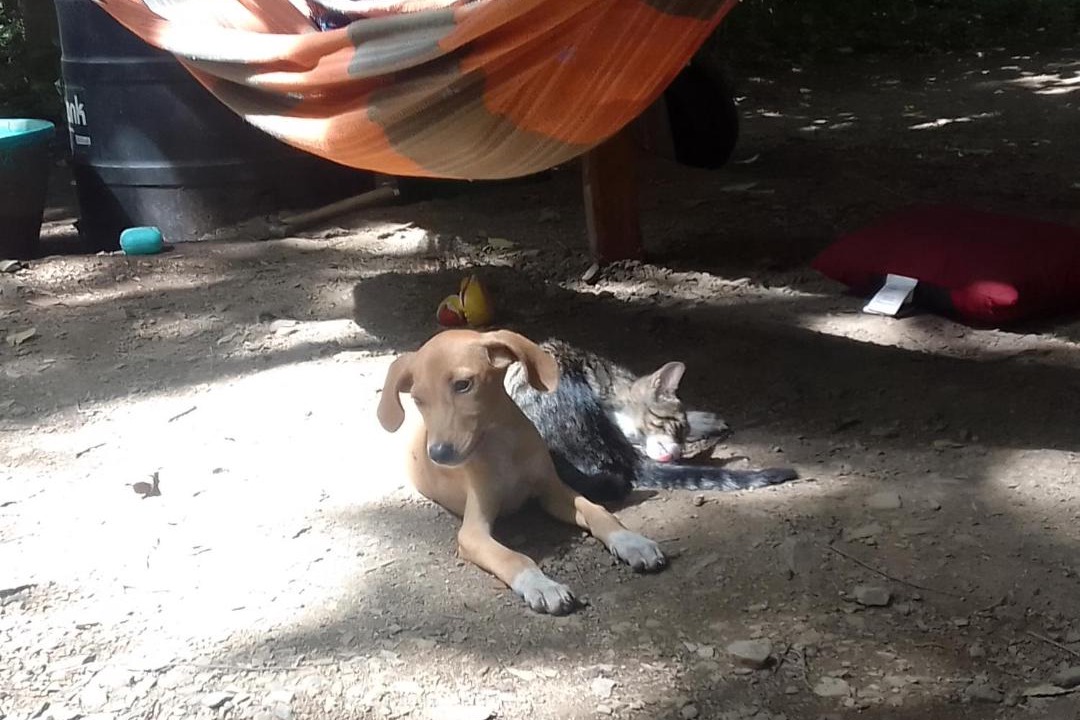 Photo of Others in Popoyo