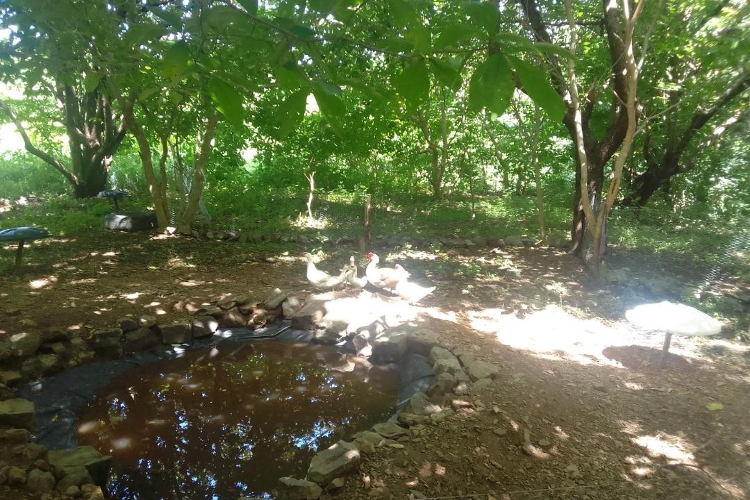 Photo of Others in Popoyo