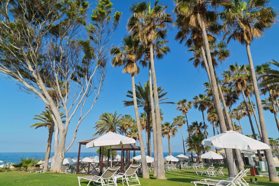 Photo of Others in Paphos