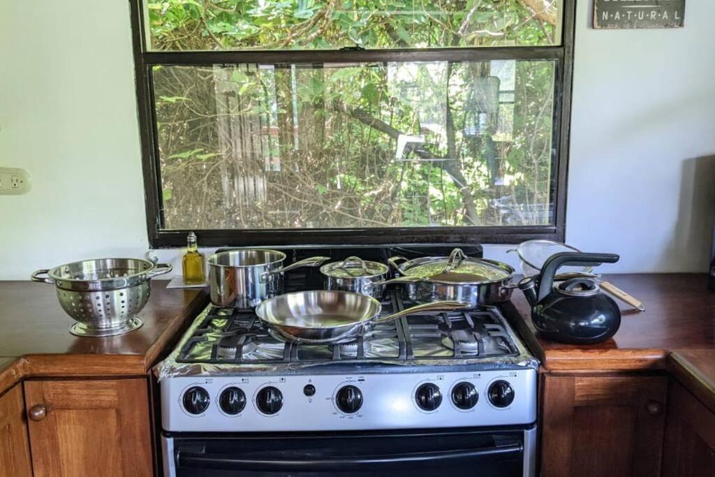 Photo of Kitchen in Northern Atlantic Autonomous Region