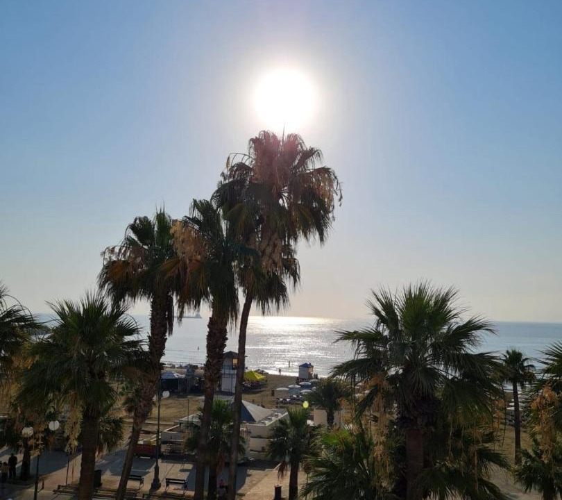 Photo of Others in Larnaca City Centre