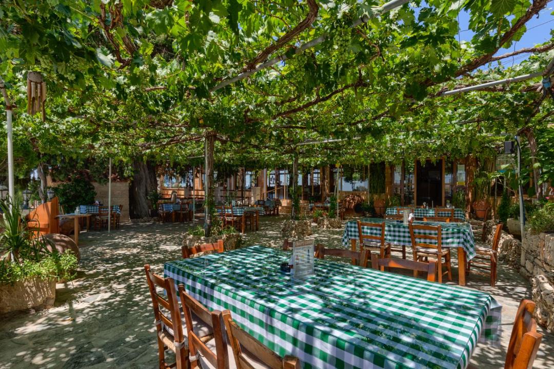 Photo of Outdoor in Kathikas