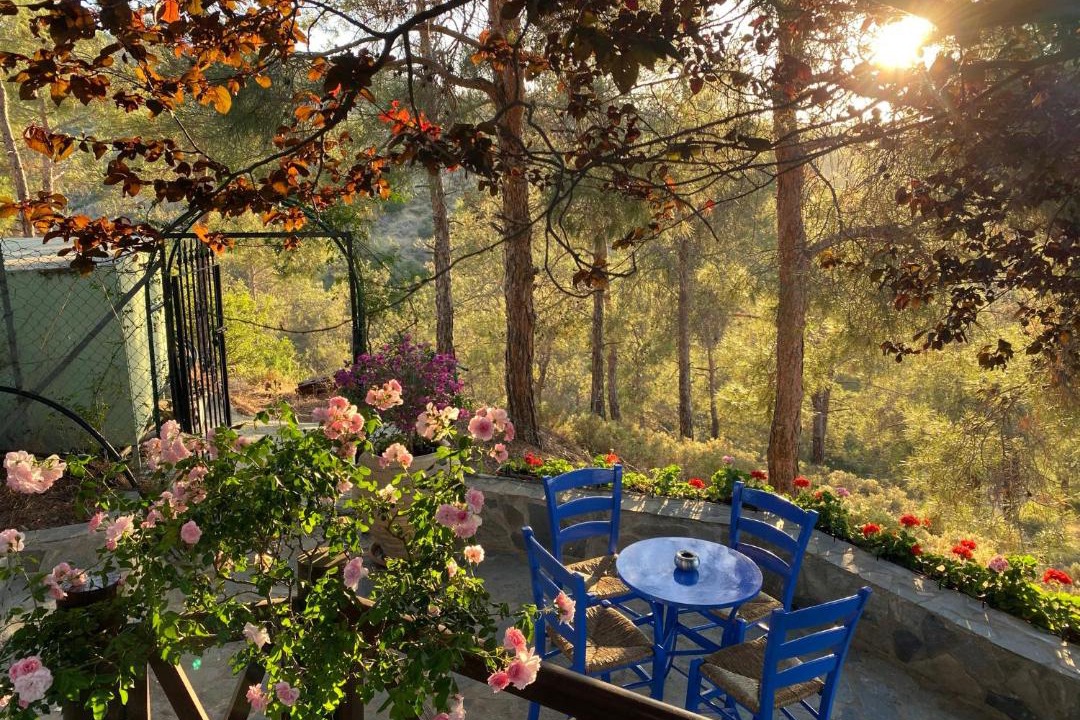 Photo of Patio Balcony in Vasa Koilaniou