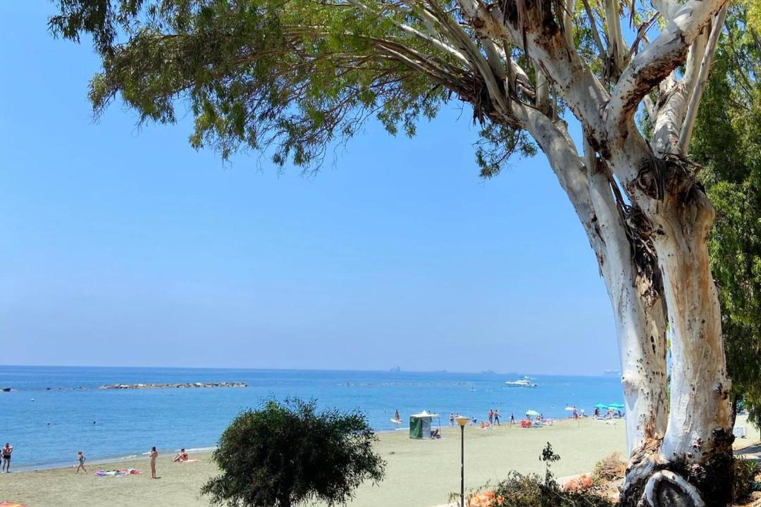 Photo of Outdoor in Agios Tychon