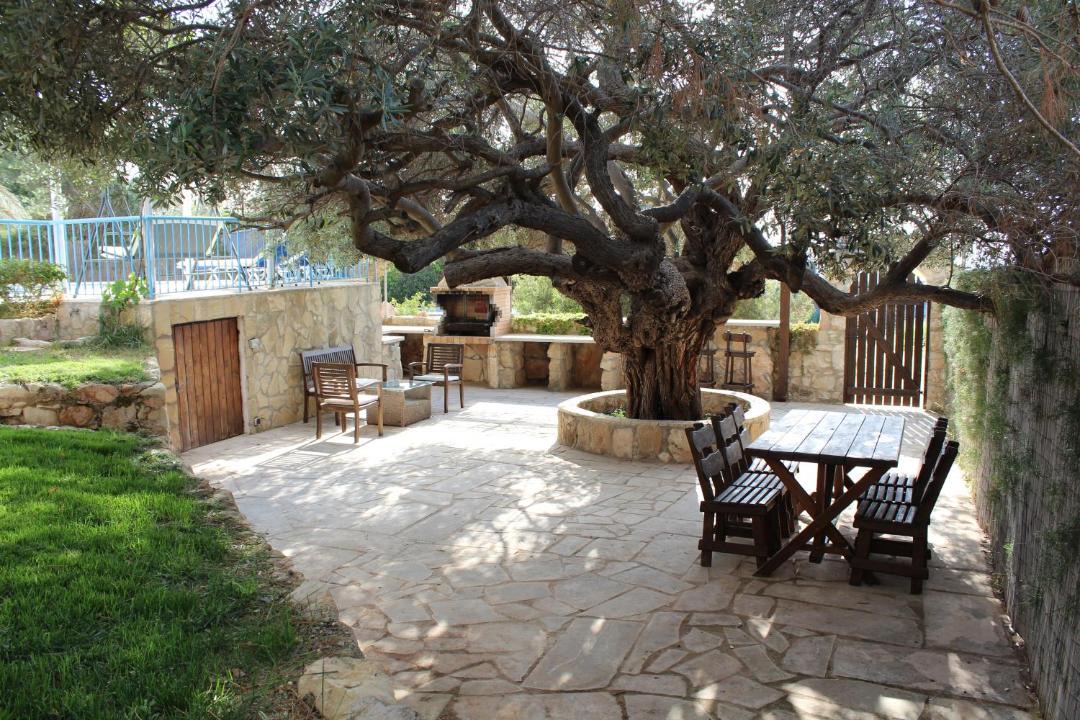 Photo of Others in Agios Georgios Pegeias