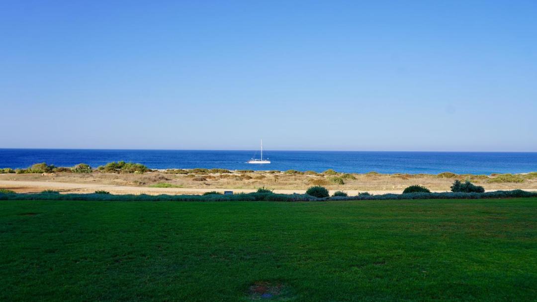 Photo of Outdoor in Cape Greko
