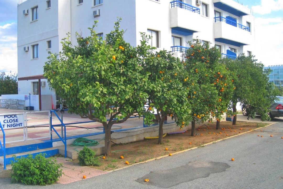 Photo of Others in Protaras