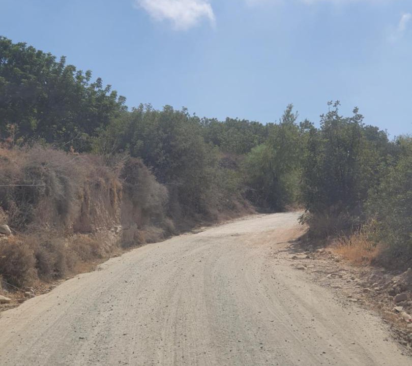 Photo of Outdoor in Koili