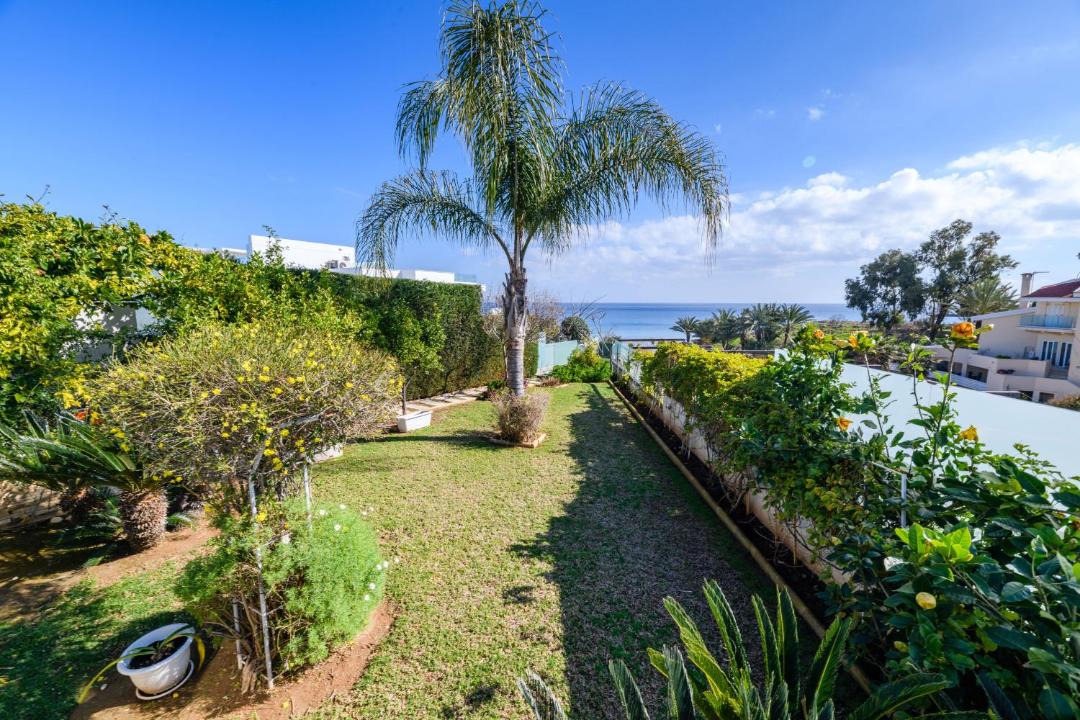 Photo of Outdoor in Protaras