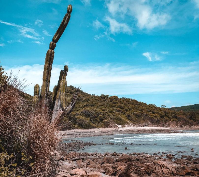 Photo of Others in San Juan del Sur