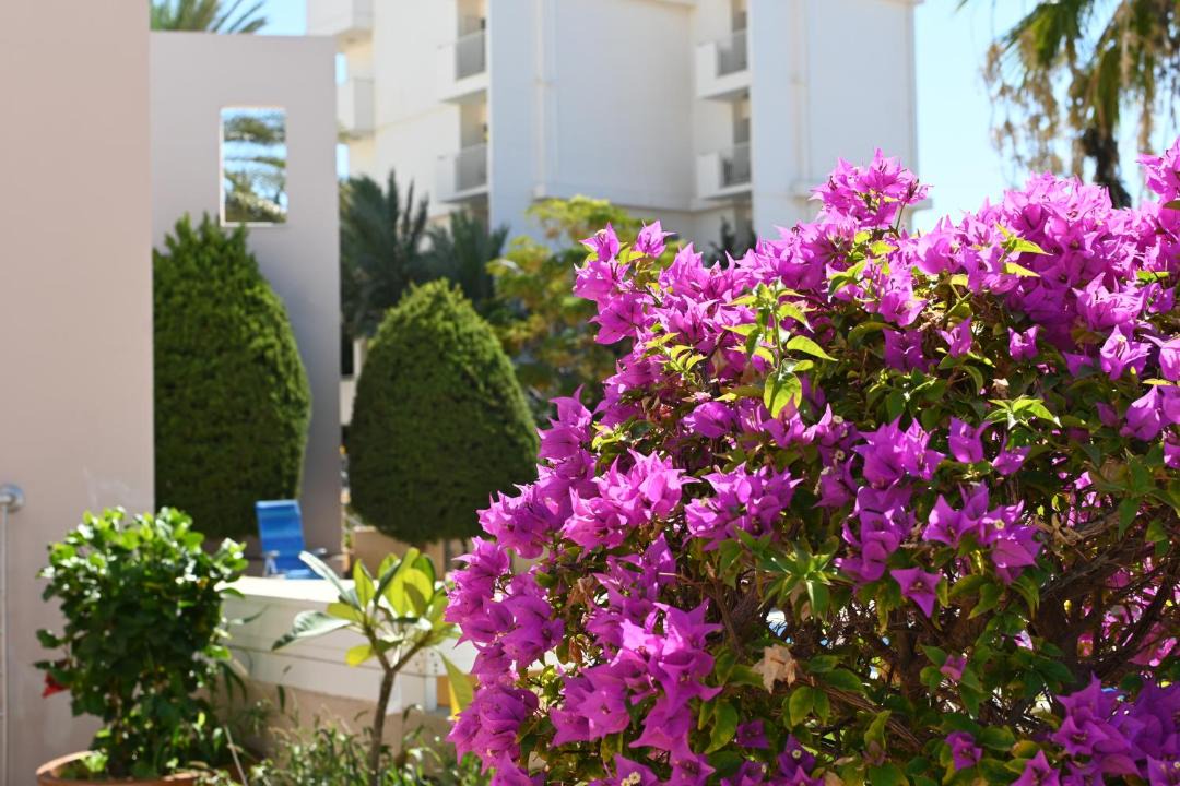 Photo of Others in Paphos