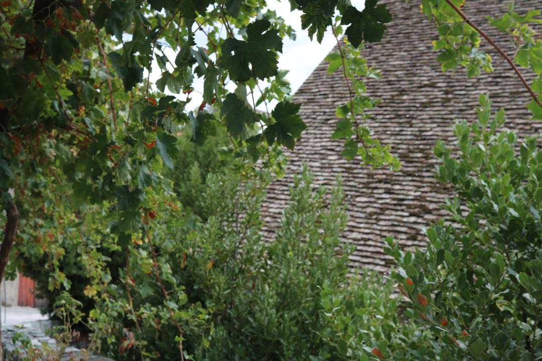 Photo of Outdoor in Pelentri