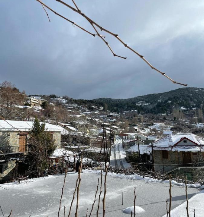 Photo of Others in Prodromos