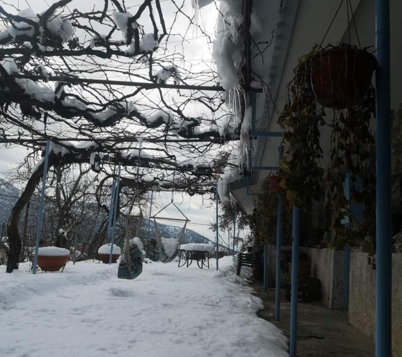 Photo of Others in Prodromos