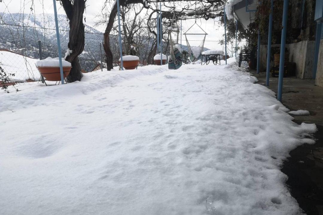 Photo of Others in Prodromos