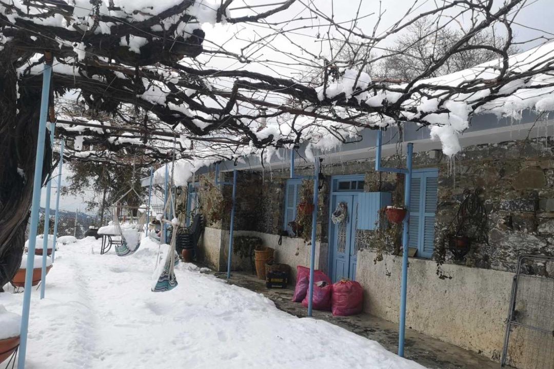 Photo of Others in Prodromos