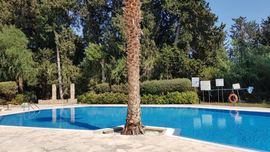 Photo of Others in Paphos