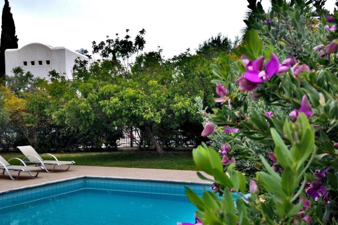 Photo of Outdoor in Agios Georgios Pegeias