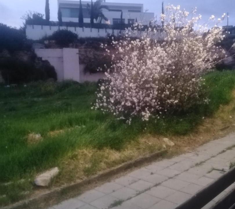 Photo of Outdoor in Germasogeia