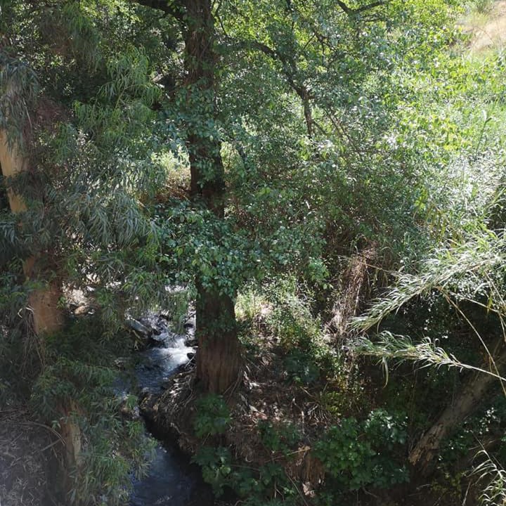 Photo of Others in Kakopetria