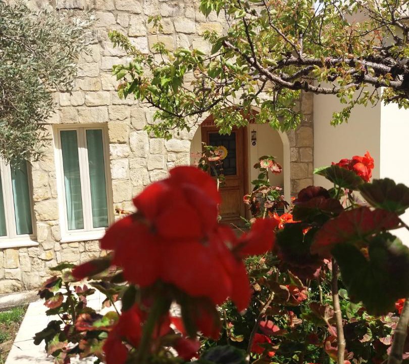 Photo of Others in Pano Akourdalia