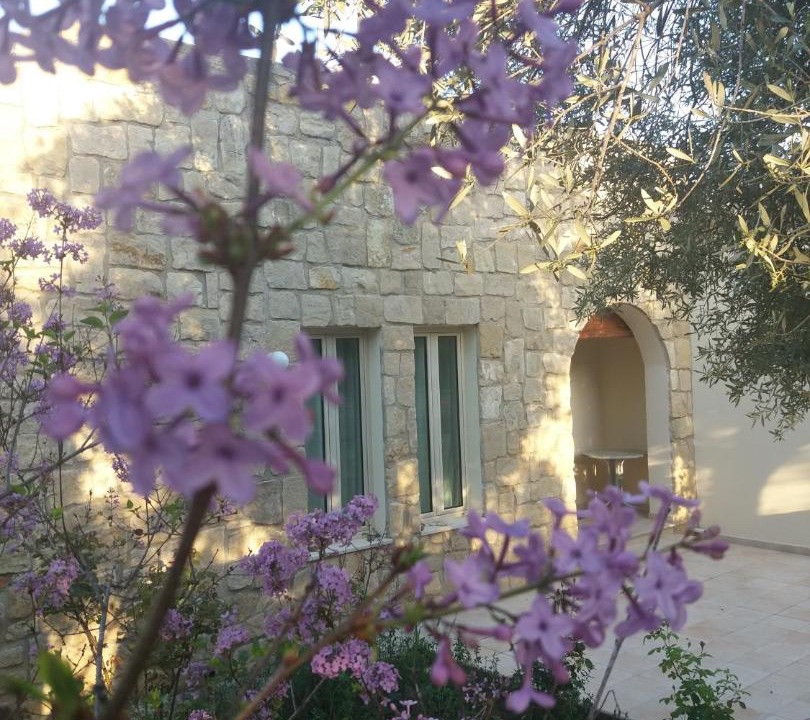 Photo of Others in Pano Akourdalia