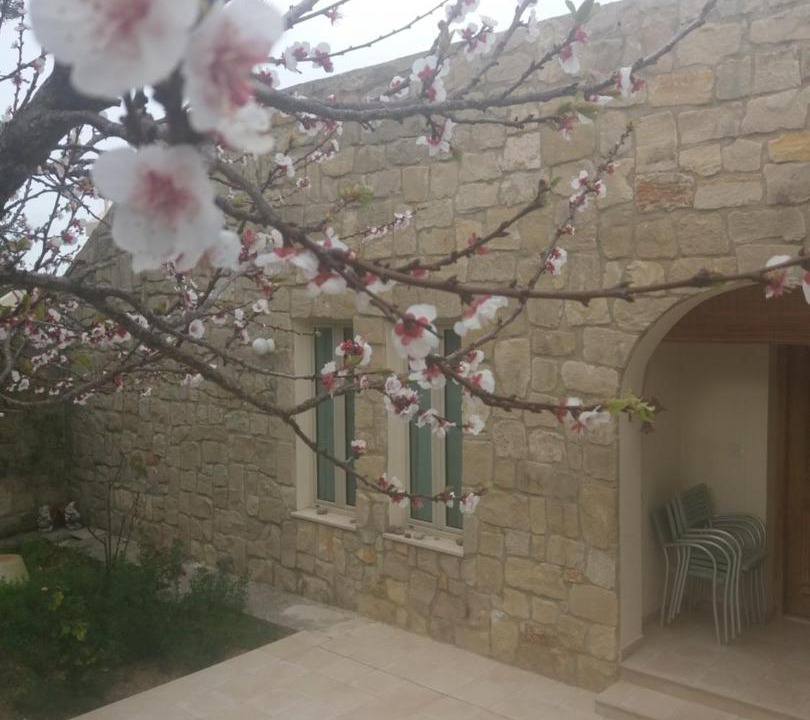 Photo of Others in Pano Akourdalia