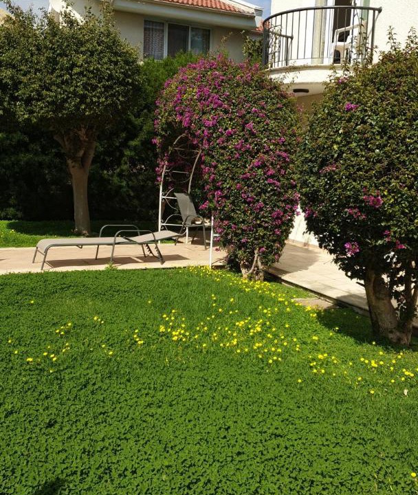 Photo of Buildings in Agios Athanasios