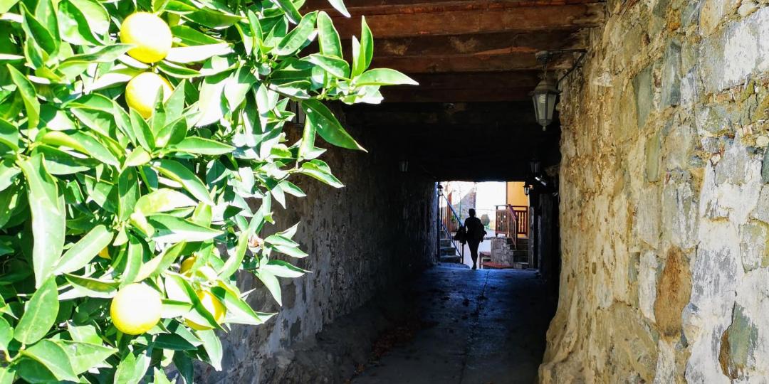 Photo of Others in Kalo Chorio